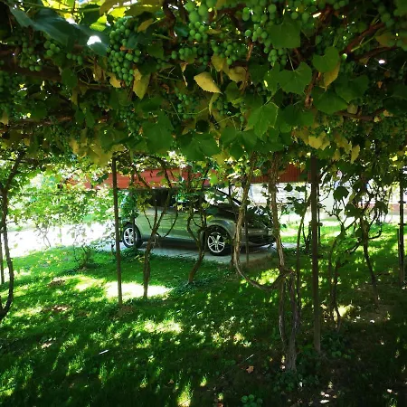 Apartment Bagolyvar Vendeghaz
