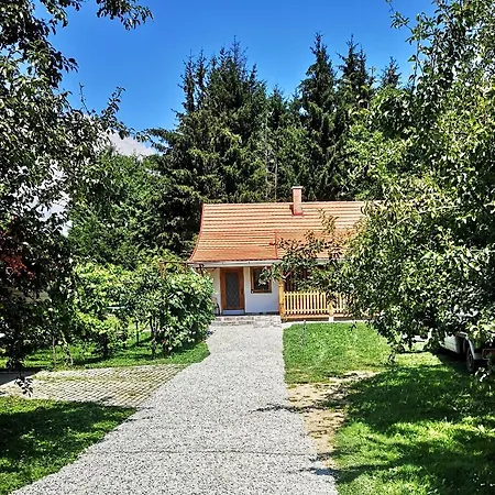 公寓 Bagolyvar Vendeghaz