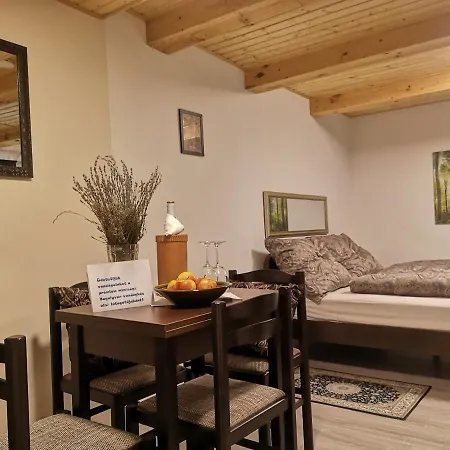 Bagolyvar Vendeghaz 公寓 *