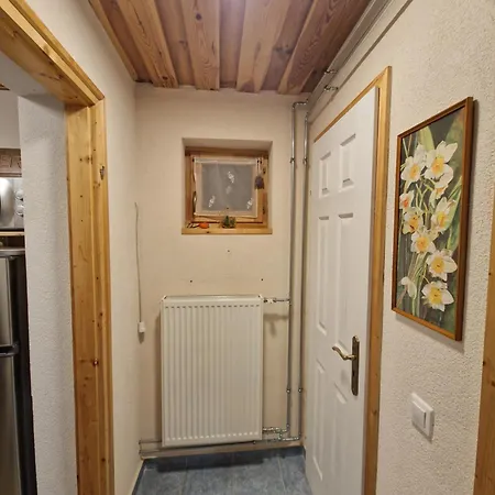 Bagolyvár Apartamento *