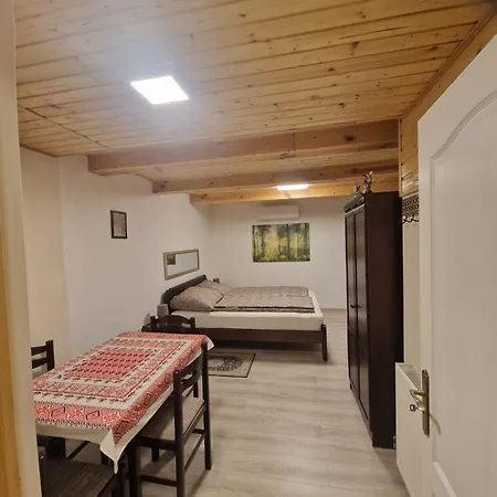 公寓 Bagolyvar Vendeghaz