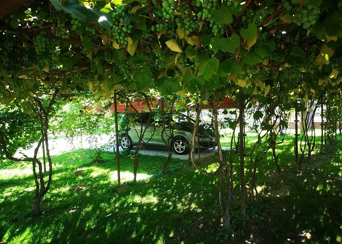 Apartamento Bagolyvár